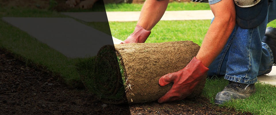 Shelbyville Landscapers